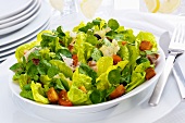 Mixed salad with tomatoes, Parmesan and croutons