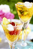 Two glasses of Pimms cocktail (alcoholic beverage with fruit)