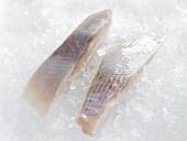 Skate wings on crushed ice