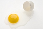 Broken egg and eggshell