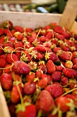 Fresh organic strawberries in a crate