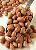 Moroccan argan nuts