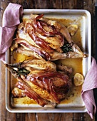 Roast chickens with date stuffing and slices of bacon