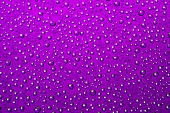 Drops of water on purple background