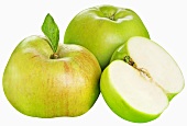 Äpfel der Sorte 'Bramley' (Kochapfel, England)