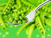 Peas on a fork and pea pods in background