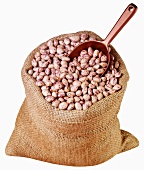 Borlotti beans in jute sack with scoop