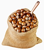 Hazelnuts in a jute sack with scoop