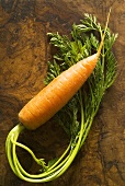 A carrot with leaves