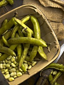 Broad beans (Beans and pods in a basket)