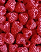 Frische Himbeeren