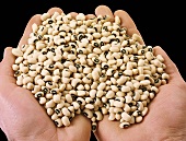 Hands holding black-eyed peas