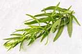 Fresh tarragon