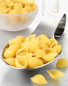 Conchiglie on a spoon and in a bowl