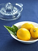 Lemons with a lemon squeezer