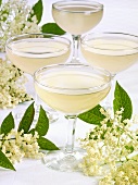 Four glasses of champagne with elderflower syrup
