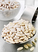 Cannellini beans on a spoon and in a glass bowl