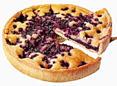 A blueberry tart, a piece cut, with cake slice