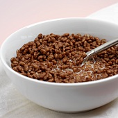 Cocoa-flavoured breakfast cereal with milk in a bowl