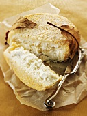Goat's cheese with a cheese knife on paper (Normandy)