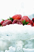 Fresh strawberries in snow on glass stand