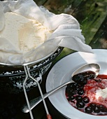 Blueberry dessert with cream cheese