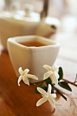 Jasmine tea and flowers