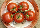 Five tomatoes on the vine on a plate