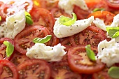 Tomaten mit Mozzarella und Basilikum (bildfüllend)