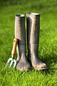 Rubber boots and garden tool on grass