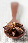 Star anise on wooden spoon