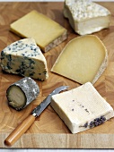 Assorted types of English cheese