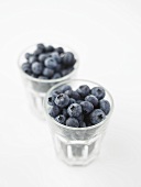 Blueberries in two glasses