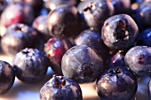 Blueberries (close-up)