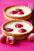 Raspberry vanilla tarts with icing sugar