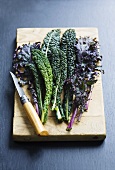 Leaves of various types of kale on wooden board with knife