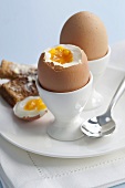 Boiled eggs with buttered toast soldiers