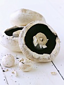 Portobello mushrooms on wooden background
