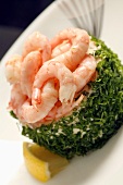 Herb-coated fish mousse with prawns