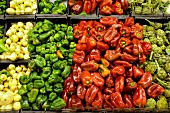 Various peppers, onions and artichokes at a market