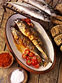 Grilled mackerel with cherry tomatoes