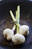 A bunch of fresh garlic in a wooden bowl