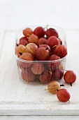 Red gooseberries in plastic container