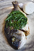 Fried sea bass with rock samphire