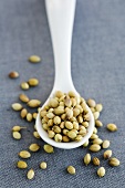 Coriander seeds on a spoon