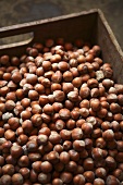 Hazelnuts in a wooden box