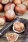 Hazelnuts with nutcracker