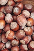 Hazelnuts, macro zoom