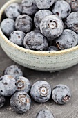 A bowl of blueberries