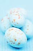 Speckled turquoise colored eggs